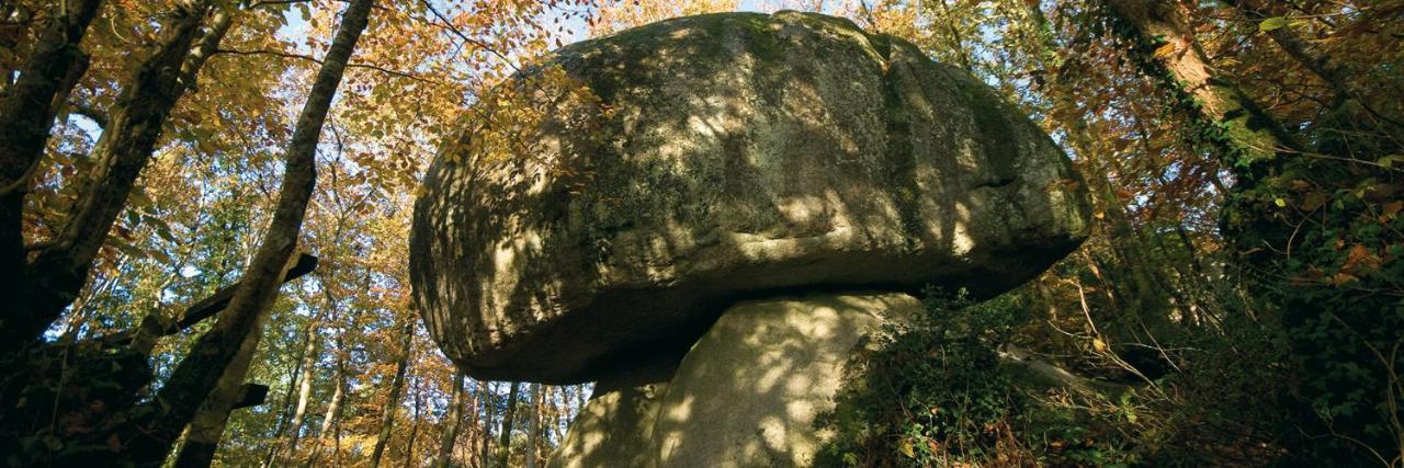 Chambre D'Hotes De La Roche Tremblante Huelgoat Esterno foto